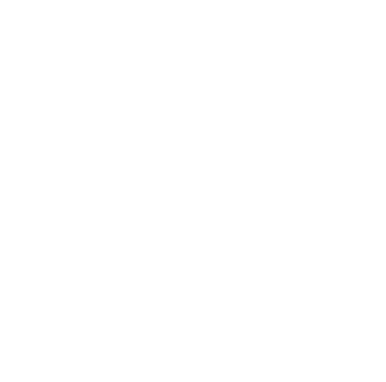 elektrotechnik brendel logo lang weiss