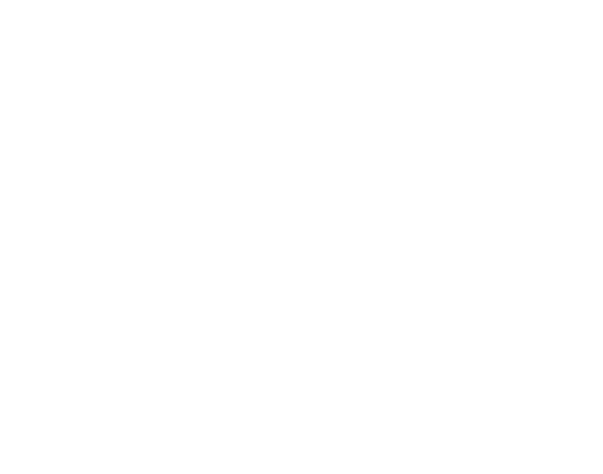 massage institut riemer logo white
