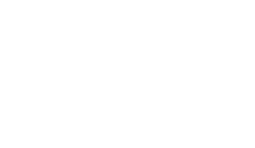 steirervan logo weiss